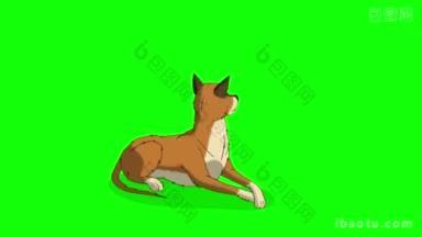 黄色的狗醒来动画运动图形孤立在绿色屏幕上